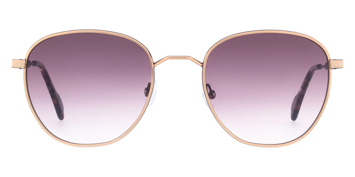 Andy Wolf - Turner Sun