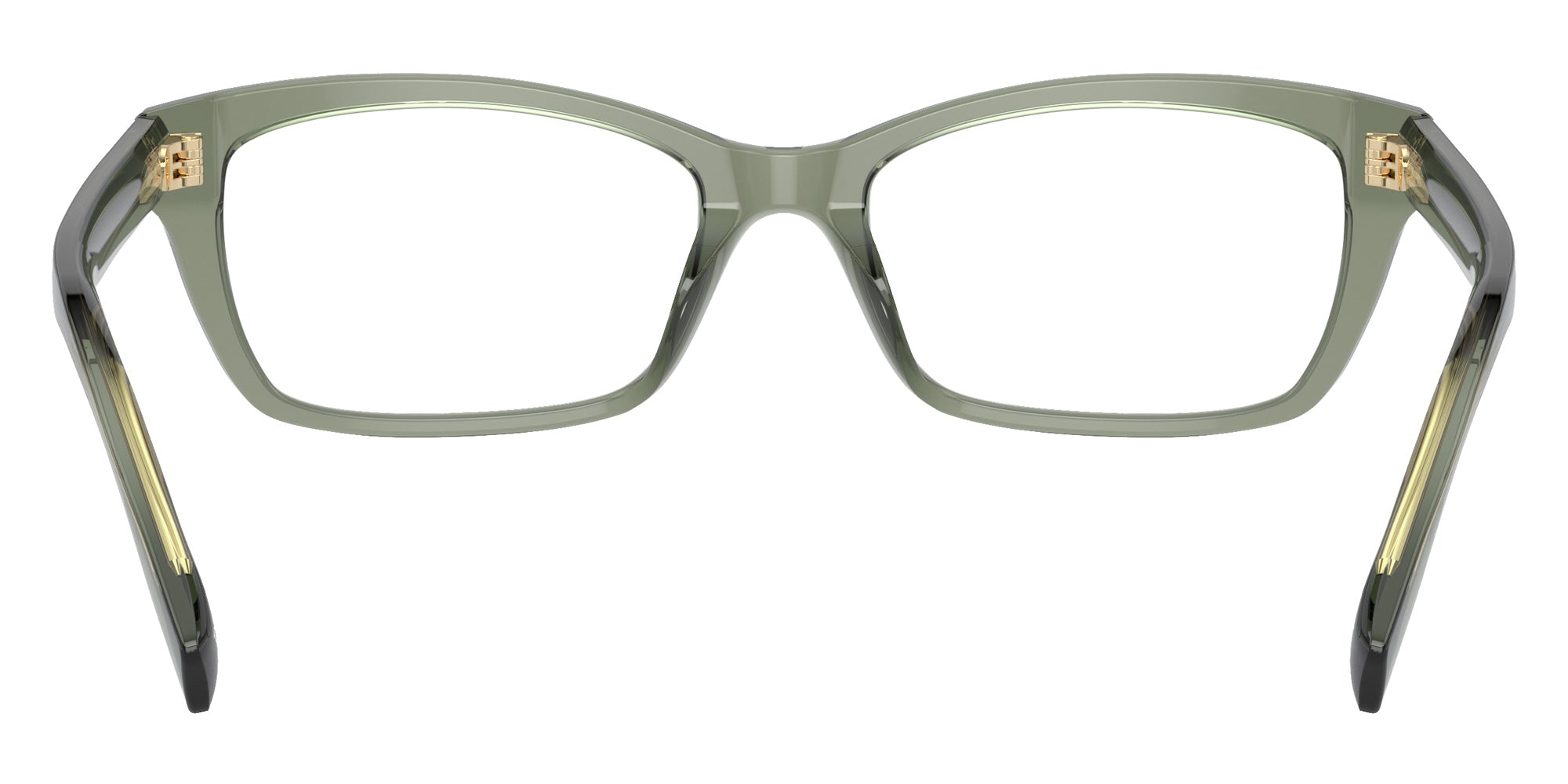 Tory Burch TY2144U 1941 51 - Transparent Sage #id:ty2144u1941_s:100115