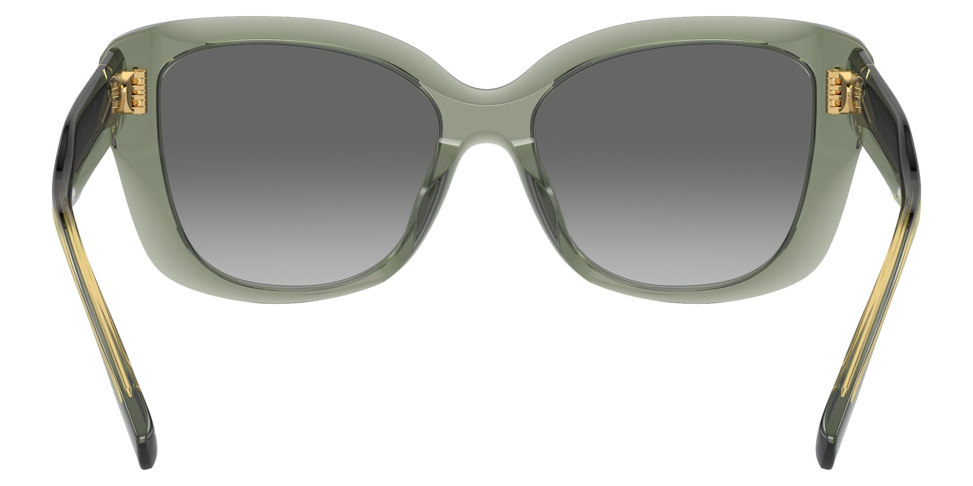 Tory Burch TY7198U 194111 54 - Transparent Sage / Light Gray Gradient Dark Gray #id:ty7198u194111_s:100115
