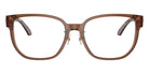 VERSACE VE3360D 5028 54 - Transparent Dark Brown