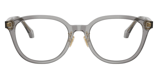 Transparent Gray / 53-19-140