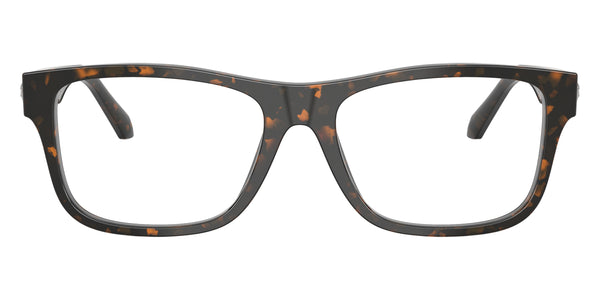 Brown Tortoise / 56-17-145