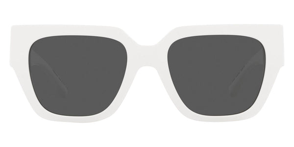 White / Dark Gray / 53-19-140