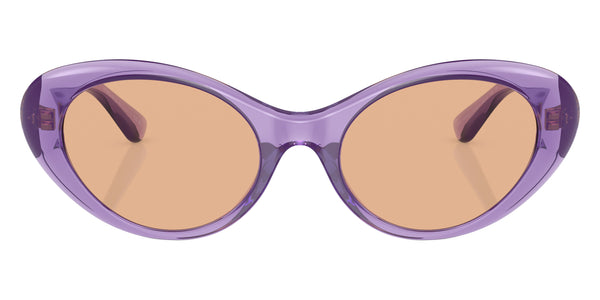 Purple Transparent / Dark Brown / 53-19-140