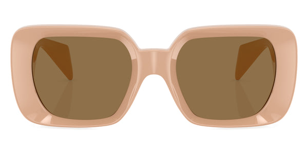 Beige / Dark Brown / 54-21-140