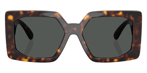 Havana / Dark Gray / 55-17-140