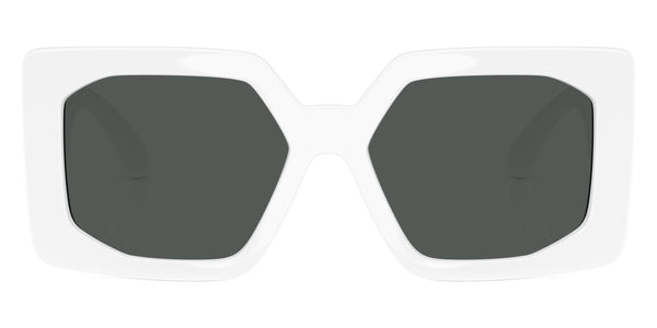 White / Dark Gray / 55-17-140