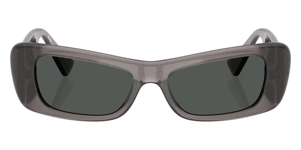 Gray Glitter Transparent / Dark Gray / 54-17-135