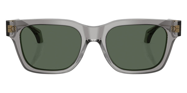 Dark Transparent Gray / Dark Green / 52-19-140