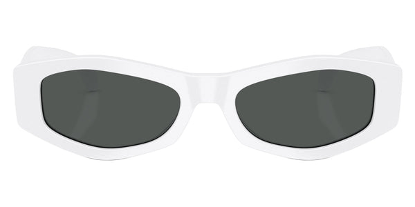 White / Dark Gray / 54-19-140