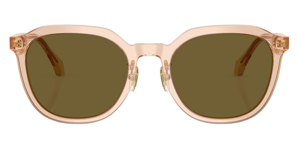 Transparent Light Brown / Dark Brown / 55-21-140