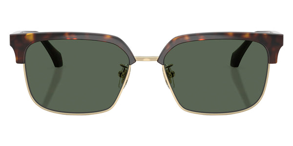 Dark Havana / Dark Green / 56-17-140