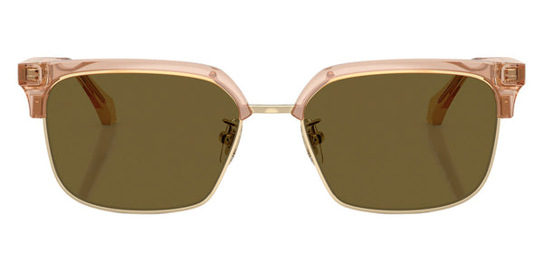 Transparent Brown / Dark Brown / 56-17-140