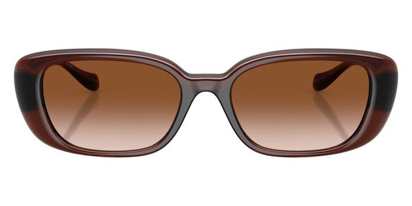 Transparent Brown / Brown Gradient / 56-18-140