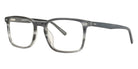 Vision's AFV254 C02 55 - Gray Horn #id:vioplafv25402_s:102100
