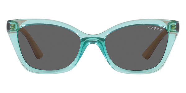 Transparent Sage / Dark Gray / 48-16-125