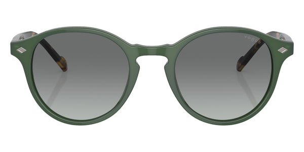 Dusty Green / Gray Gradient / 48-20-145