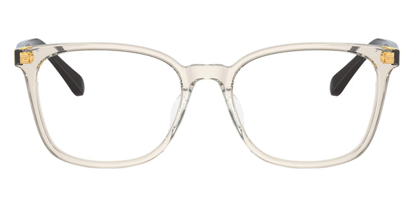 Transparent Light Brown/Full Dark Brown / 53-17-145