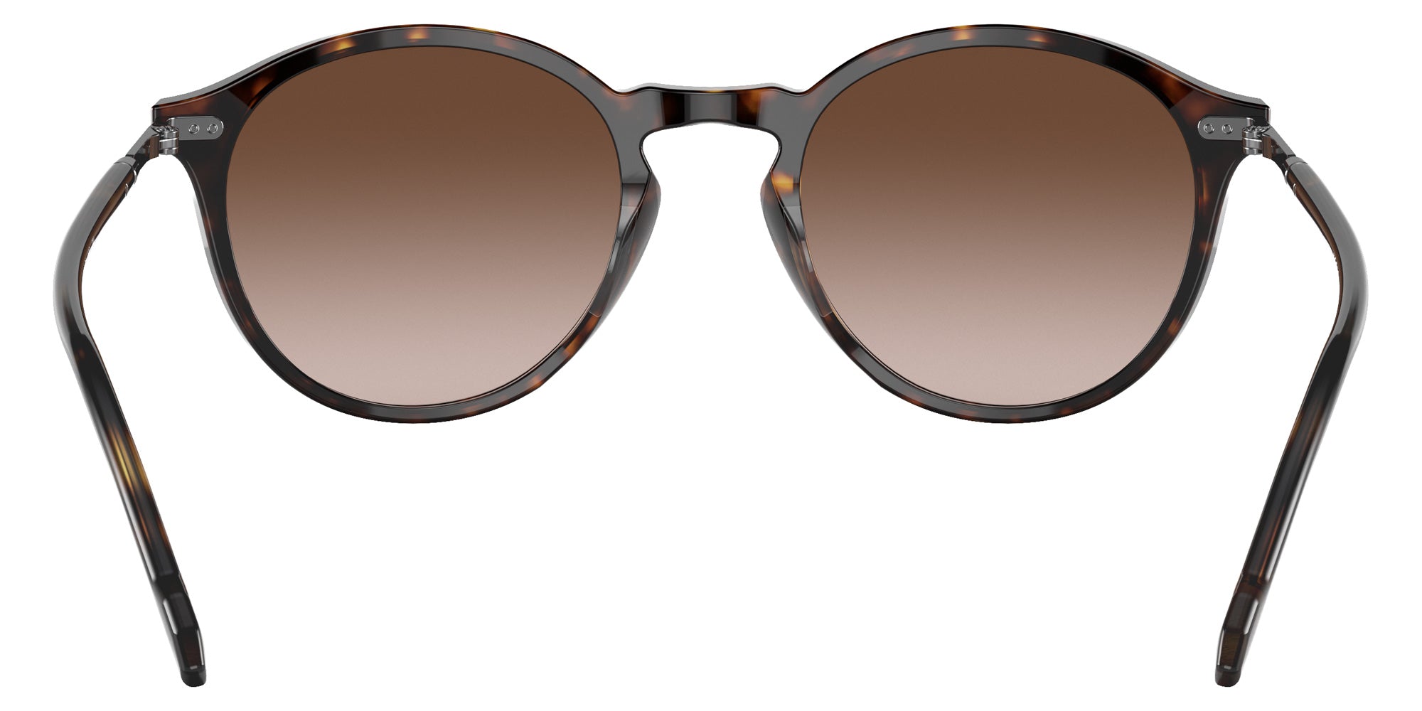 vogue eyewear VO5432S W65613 51 - Dark Havana / Gradient Brown #id:vo5432sw65613_s:100115