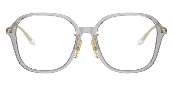 Transparent Gray/Pale Gold / 54-17-140