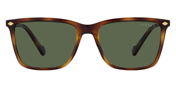 Total Dark Havana / Dark Green Polarized / 56-18-145
