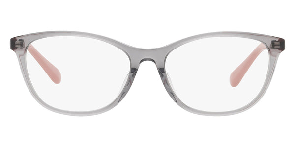 Transparent Gray/Full Pink / 54-16-145