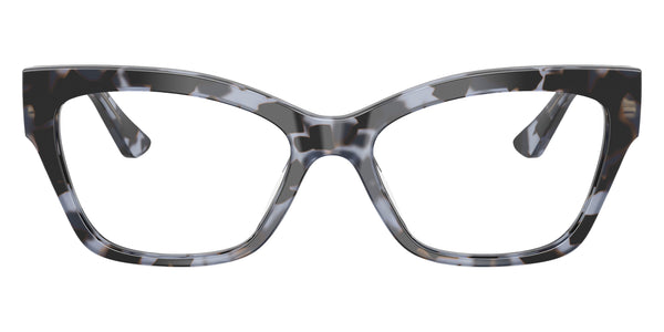 Blue Tortoise / 52-17-140