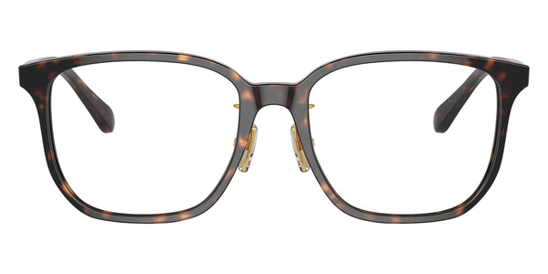 Dark Havana / 55-18-145