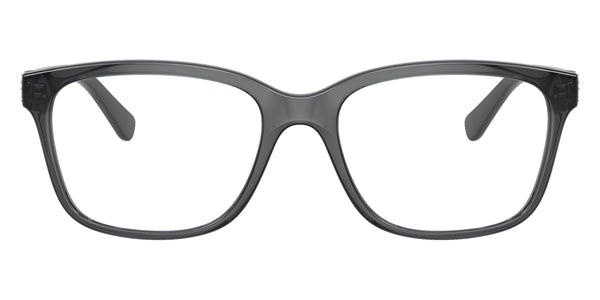 Transparent Gray/Gunmetal / 51-17-140