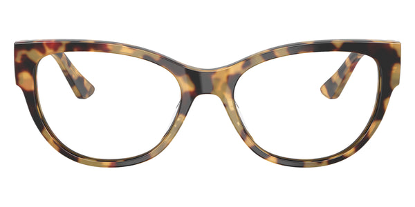 Yellow Tortoise / 51-17-140