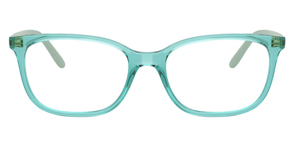 Transparent Turquoise/Full Sage / 51-17-140