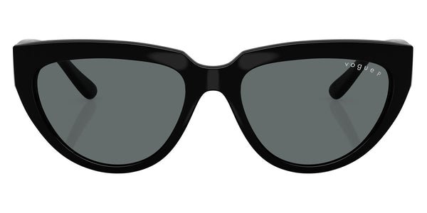 Black / Dark Gray Polarized / 54-17-140