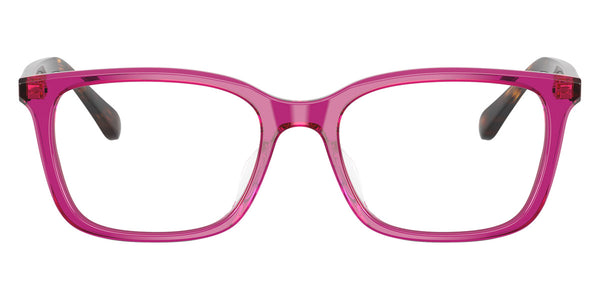 Transparent Violet/Dark Havana / 53-18-145