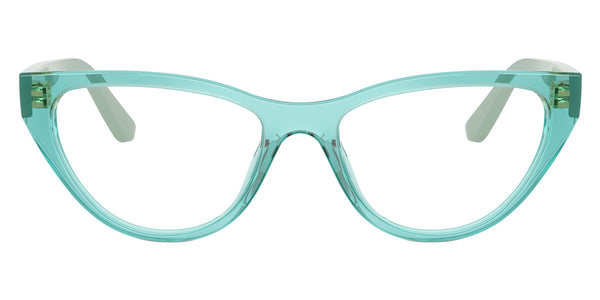 Transparent Turquoise/Full Sage / 49-16-135