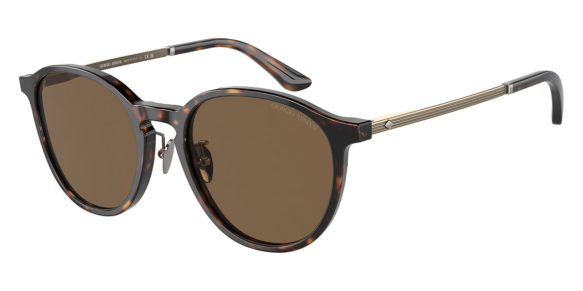 Giorgio Armani™ AR8196F 502673 51 - Havana/Antique Smoke
