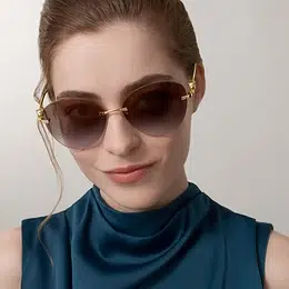Elegant Cartier sunglasses