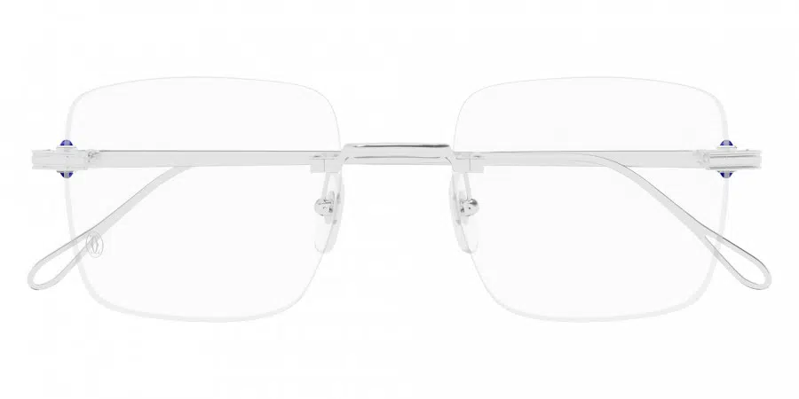 $20 000 Cartier CT0458O Silver Precious eyeglasses