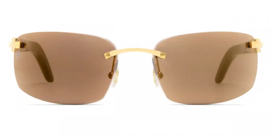 Cartier CT0046S Décor C sunglasses
