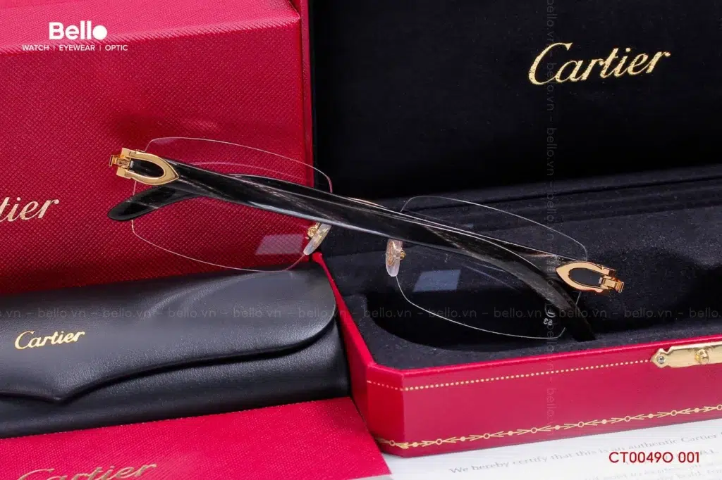 Gold/Black CT0049O C Décor eyeglasses with original box