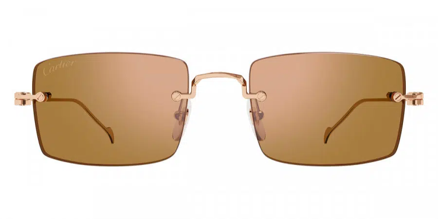 Cartier CT0367S Precious sunglasses