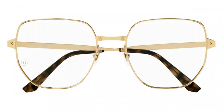 CT0339O Santos De Cartier