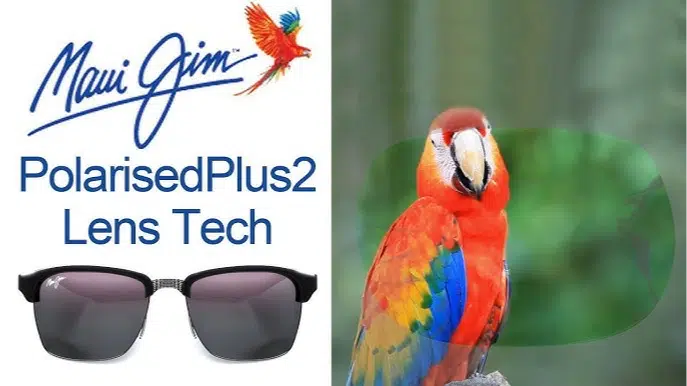 Maui Jim's PolarizedPlus2 technology