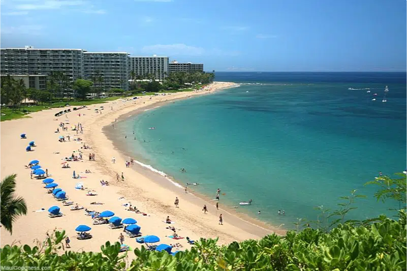 Hawaiian sunny beaches