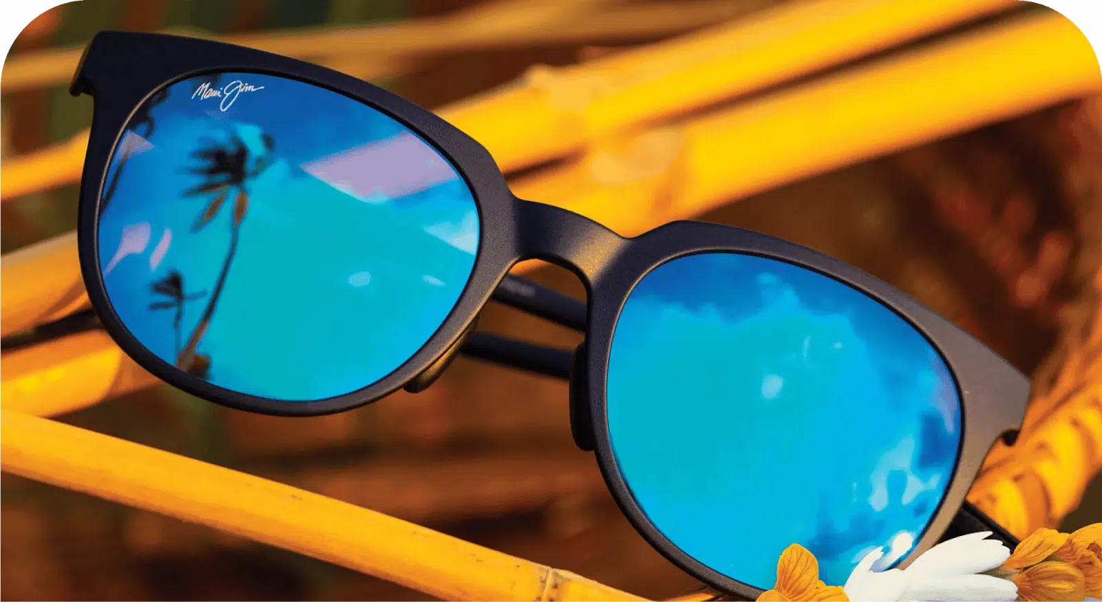 Maui Jim: born in Hawaii