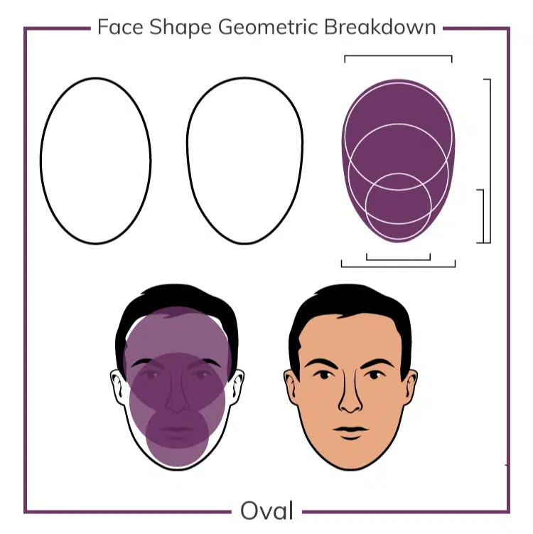 Face shape geometric breakdown (Oval)