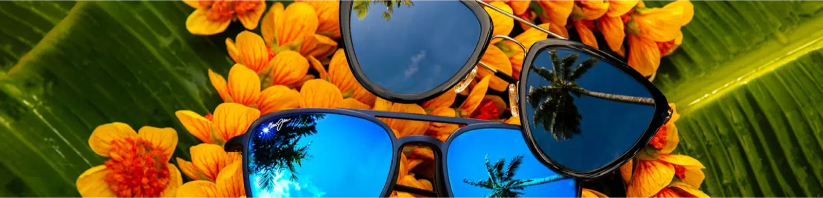 Maui Jim sunglasses