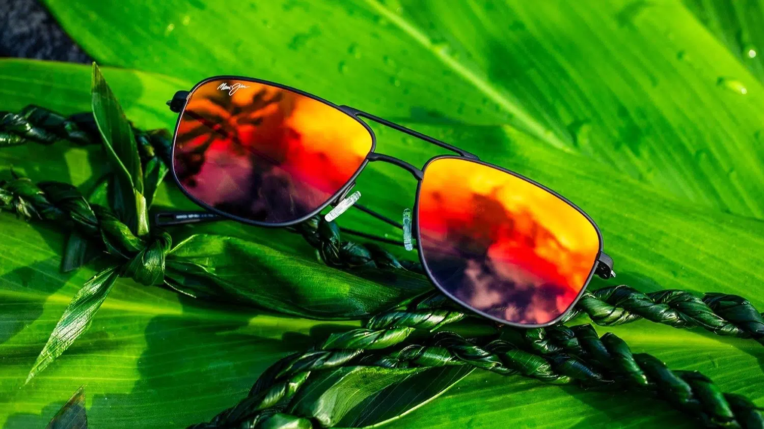 Polarized sunglasses for eye protection