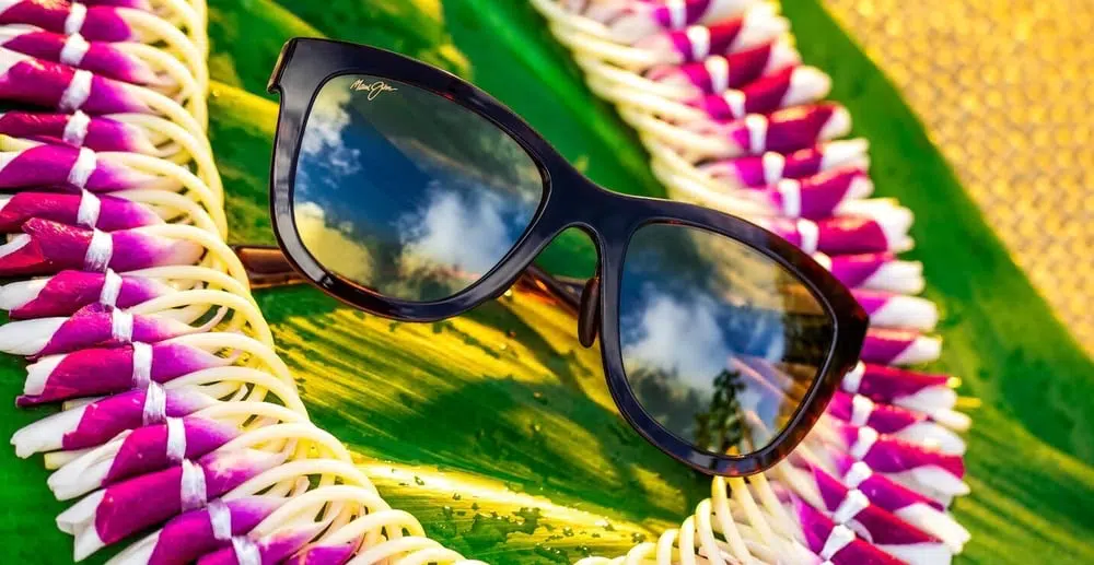 Popular shades for ultimate vision 