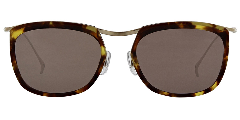 sunglasses wellington s-t50