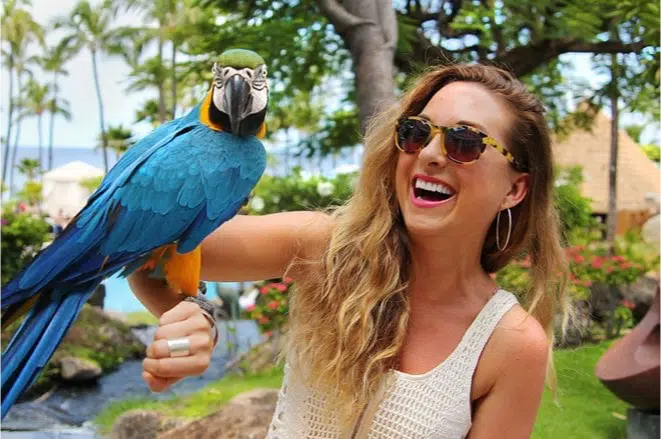 Maui Jim sunglasses: live a bright life!